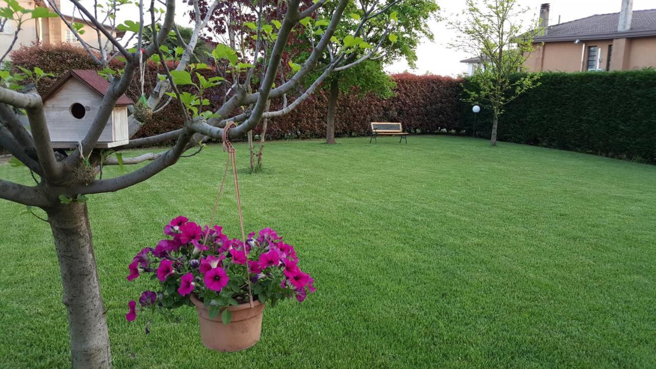 Il Farfasole Bed & Breakfast Vigonovo  Bagian luar foto