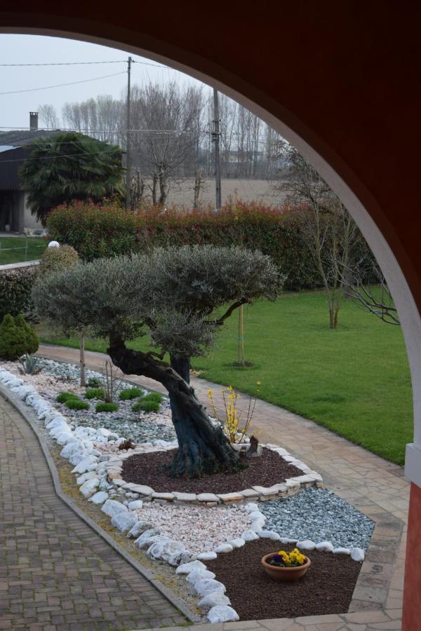 Il Farfasole Bed & Breakfast Vigonovo  Bagian luar foto