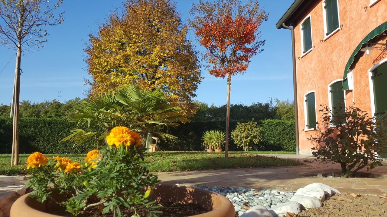 Il Farfasole Bed & Breakfast Vigonovo  Bagian luar foto